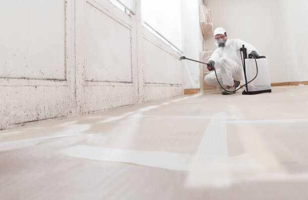 24/7 Emergency Attic Mold Remediation experts in Milton, WA